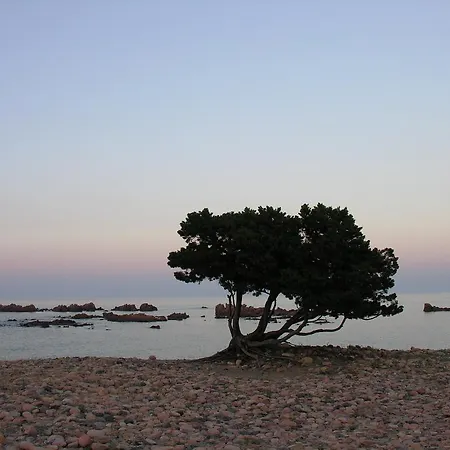 Vakantieboerderij Chiai Francesco *