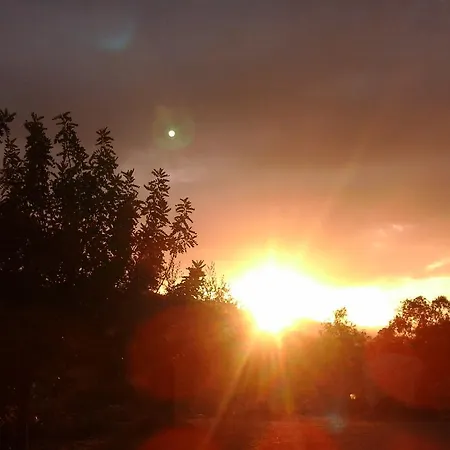 Chiai Francesco Bari Sardo