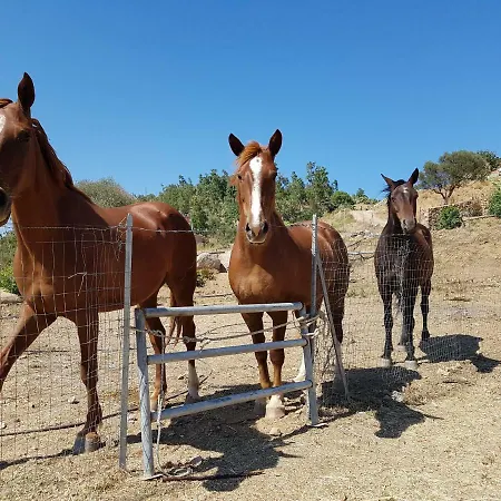 Vakantieboerderij Chiai Francesco *