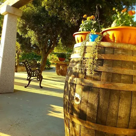 Chiai Francesco * Bari Sardo