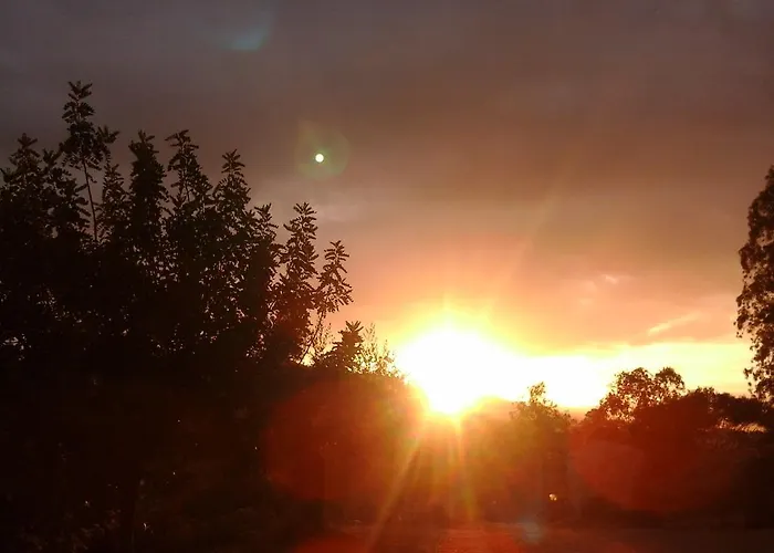 Chiai Francesco Bari Sardo