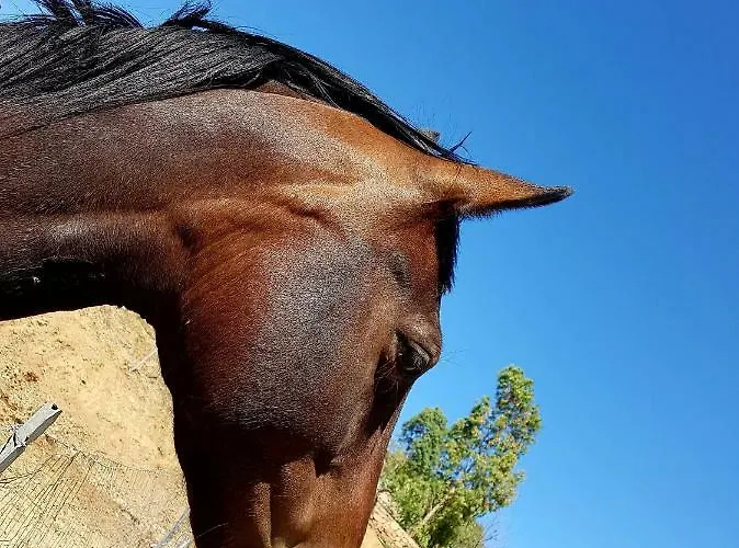 Chiai Francesco Bari Sardo